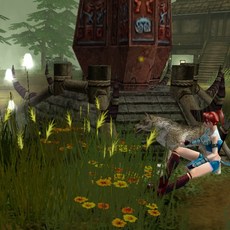 稀有精品網單【傳說OL】VM一鍵端單機版，完整任務視頻教程，GM刷物品教程