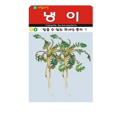 아람종묘 냉이 씨앗 2만립, 1개