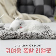 차량용 리얼펫 잠자는 강아지 고양이 인형 장식 귀여운 자동차장식, CAT04, 1개
