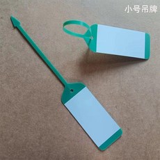塑膠吊牌 園林掛牌 汽車鑰匙牌 一次性標籤 防曬不老化材質 可寫, 綠色, 1個