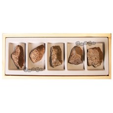 화산탄 표본 5종세트 과학 교과서 4단원 화산과 지진 암석