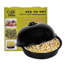 국내산 콩나물재배기 유아 교육용 새싹키트, 그레이, 케이스없음