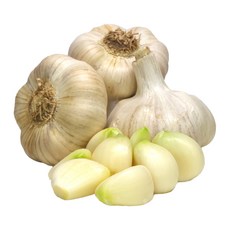 1대종 홍성 홍산마늘 씨마늘 종구 종자, 5kg(대), 1박스