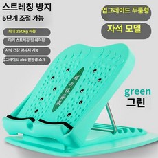 발바닥마사지기 스트레칭 이완 홈트 다리 하체, 프레시그린 B