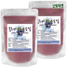 산들약초 블루베리농축분말 미국산 블루베리, 500g, 2개