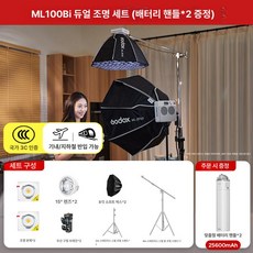 Godox ML100Bi 바이 컬러 LED 비디오 라이트 2800-6500K 120W 앱 제어 야외 촬영용 휴대용 셀카 조명 Llive, 공식 듀얼 라이트 세트 A