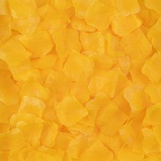 아트포유 장미 꽃잎 컨페티 플라워샤워 웨딩 촬영 꽃가루, 400개, 옐로우