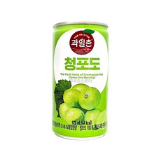 과일촌 청포도 드링크175ml 60캔, 175ml