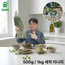 YM마켓 가락시장 매일 새벽 직접 선별 싱싱한 국내산 미나리 500g 1kg, 1개