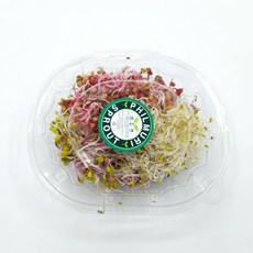 야채왕 새싹모듬 1팩 50g, 1개