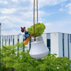 [이브닝메종] 스칸디아모스 키키 행잉 전구화분, 1개, 그린