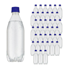 라인바싸 탄산수 플레인 무라벨 40페트, 500ml, 1개
