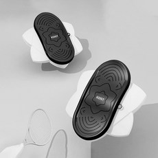 에코벨 트위스트 양발형 좌우 스탭퍼/피트니스 허리 트레이닝, 그린