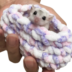 피그미 다람쥐 소동물 핸드메이드 물림방지 교감 포치, 1개, 핑크보라