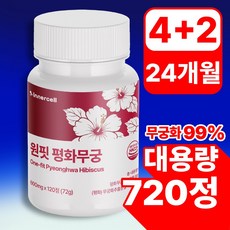 원핏 평화무궁 정품 식약청인증, 6개, 120정