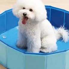 클로케 애견 강아지 접이식 수영장, 1개, S(100cm)