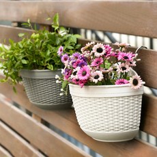 라탄무늬 벽걸이화분(HP-R05) 벽면녹화 행잉화분, 회색(Gray)