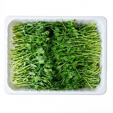 싱싱한 완두순 500g, 1개