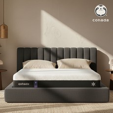 코하다 고밀도 메모리폼 매트리스 미디엄소프트 27.5cm