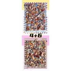 集鸚社 鸚鵡熟化日糧 有殼無水果基本款 大型 中大型 中型鸚鵡營養日糧, 1個, 4號4斤+6號3斤（7斤）可超商