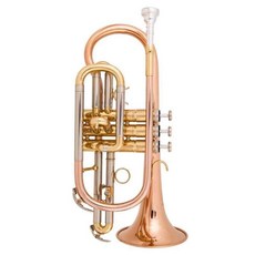 美國巴哈降B調短號小號樂器 降B調 初學 考級 專業演奏 吹奏省力, TR-500磷銅款短號, 1個