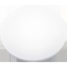 OSRAM 歐司朗 LED 圓形房間燈 天花板燈 60W, 單一顏色