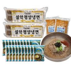 맛있는 참맛 설악육수 물냉면 20인 세트 / 메밀냉면 2개 + 설악육수 20개 + 냉면무 2개, 1세트, 12.2kg