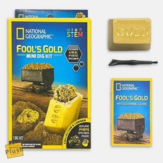 PH 화석발굴 금 화석캐기 화석만들기키트 보석화석발굴키트