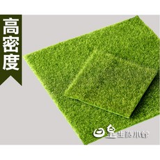 仿真草皮 拍照道具 人造草皮 台灣現貨 裝飾草坪 娃娃機佈置 拍攝道具 微景觀 多肉盆栽裝飾 仿真苔蘚假草皮 日皇, 1個, 30*30cm