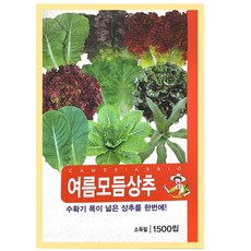 9종 여름모듬상추 씨앗, 1개 1개
