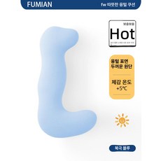 바디필로우 롱 침대용 베개 쿨링 대형 안고자는 꿀잠, 성인 대형 165cm 이상 103cm 16cm, 선물상자 가을겨울 플리스 아틱 블루