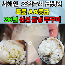 [한정특가] 싱싱한 알쭈꾸미 알배기 급냉 쭈꾸미, 1박스, 3kg