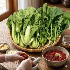 국산 열무+얼갈이셋트 김치용 정량포장 반반세트 황금비율, 1개, 열무 2kg + 얼갈이 1kg