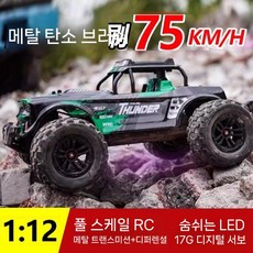 RC 자동차 전문 오프로드 드리프트 4륜, 기본, 1개, A. 그린(카본모터)