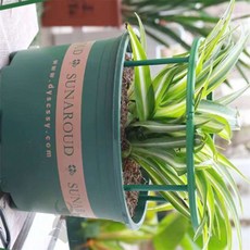 횽이네만물상 화분 원형 지주대 원형화분받침대소형