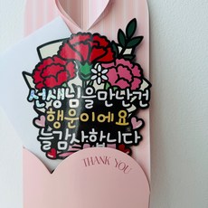 카네이션 스승의날 스승의날 선물토퍼, 1개, 선생님