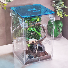 에버리움 크레스티드 게코 도마뱀 아크릴 사육장 세트 - 소형 20x20x30cm, 1세트, 스카이블루
