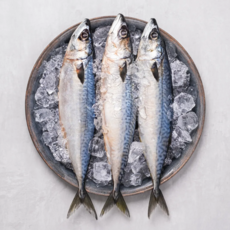 [당일조업] 산지직송 국산 자반 참고등어 손질 간고등어, 1개, 중대 10미(2.8kg 내외)