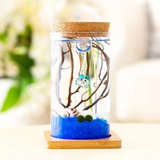 테라리움 마리모 코르크병 유리병 LED 키우기 78529EA 1(pc)