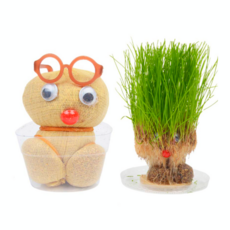 나만의잔디인형키우기 봄식물관찰 3월식물키우기키트 초등수업