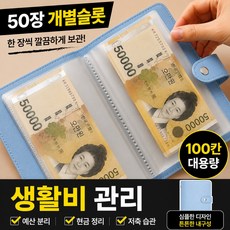 브로미 현금바인더 100칸 저축챌린지 다이어리 생활비 예산관리 캐시스터핑, 1개, 블루
