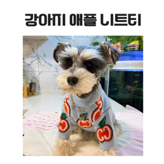힙한 강아지 옷 후드 니트 귀여운 핑크 하늘 티셔츠 패션 산책 가을 겨울 사계절, 1개, 스카이애플니트