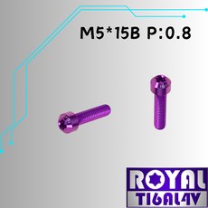 ROYAL 鈦合金螺絲 M5*15B P:0.8 錐形螺絲 64鈦/正鈦/鈦合金螺絲 出貨附發票 皇家紫, 1個