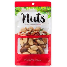 [가온애] 브라질너트 300g, 1개