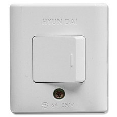 국산 노출 사각 나사형 HES-1 스위치, 1개