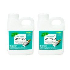 홀렌 100% 감동 과탄산소다 청소 세탁 표백제 500g, 2개