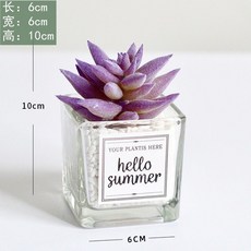 台灣熱賣ins風仿真多肉盆栽，仙人掌綠植客廳擺件，小盆栽裝飾品綠植假花桌面擺設，輕鬆打造清新居家風格, 天霜蓮+ins小方玻, 1個