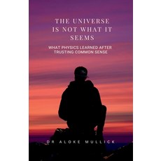 (영문도서)The Universe Is Not What It Seems: What Physics Learned After Trusting Common Sense Paperback, Notion Press, English, 9798902699354