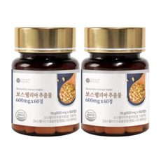 Healthy Food 骨骼護理乳香萃取錠 600mg, 2罐, 60顆
