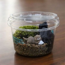 공기정화식물 어머니 사랑 이끼 식물재배키트 DIY세트 DIY키트 체험학습 원예DIY 모종